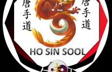 Ho Sin Sool Dojang Instituto