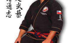 Ryu Pa Nim artes marciales